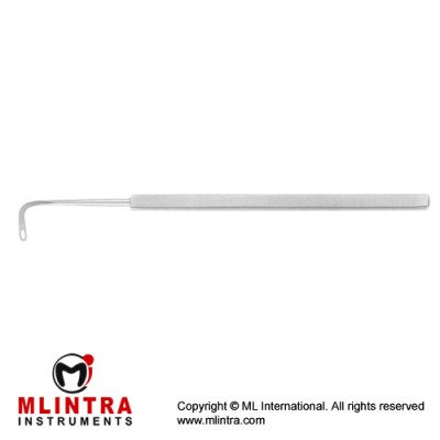 Gass Retinal Detachment Hook With Oval Hole Stainless Steel, 13 cm - 5"